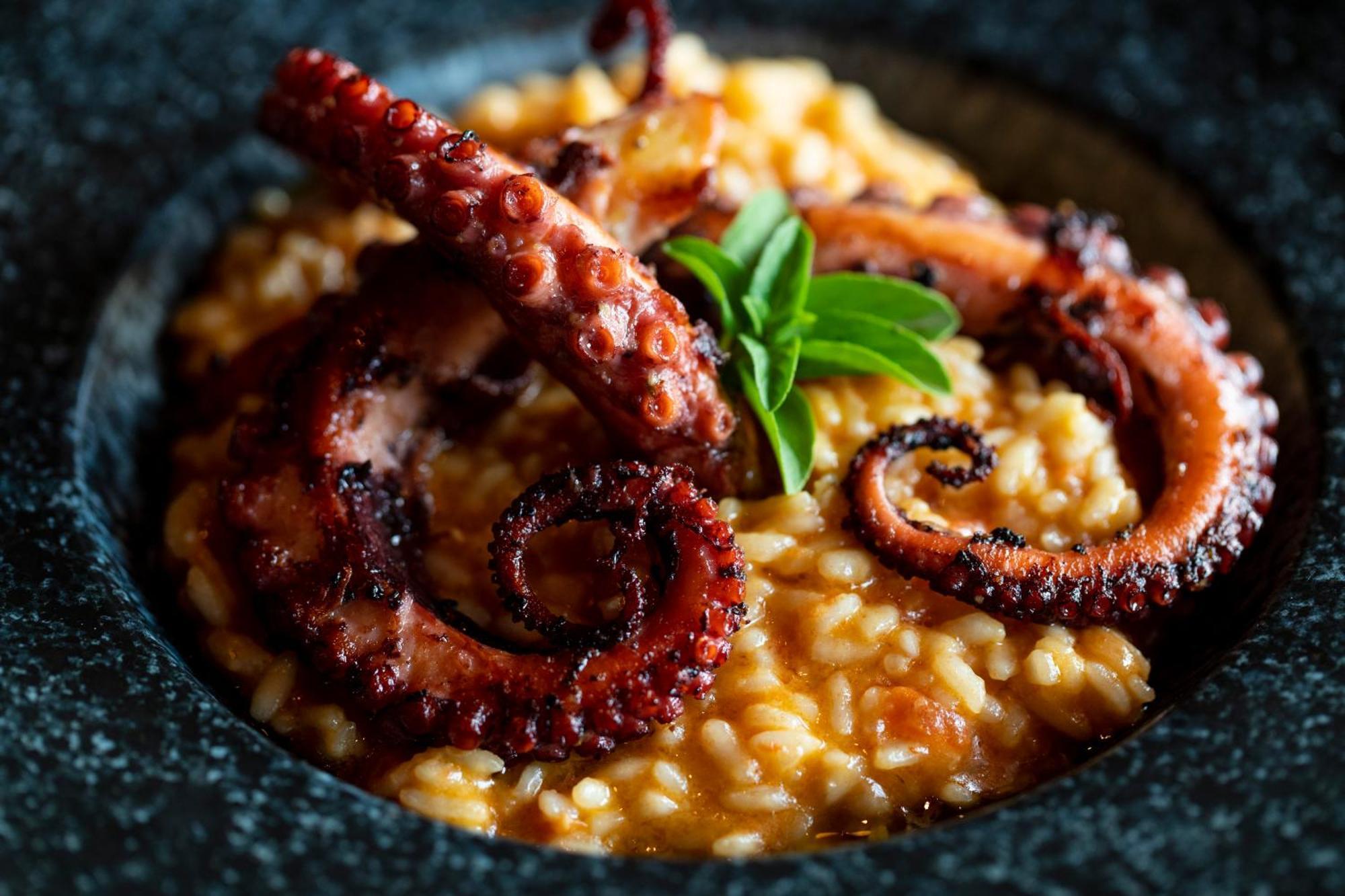 B Hotel 브라질리아 외부 사진 Risotto alla marinara